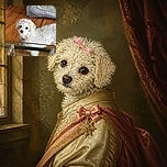 A tiny curly-haired white dog with a pink bow is staring up like a fluffy courtroom witness, dramatically framed beneath a glass table while its reflection and a cozy dog bed join the scene.