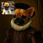 A close-up photo of a small puppy with large ears and expressive eyes, sitting on a couch with a patterned blanket and a person wearing a dark shirt nearby. The puppy's face is slightly blurry but adorable, capturing a candid moment of curiosity.