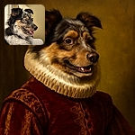 A close-up portrait of a happy dog with fluffy fur and striking blue eyes, sitting comfortably on a couch with a neutral background, tongue slightly out as if smiling at a secret joke.