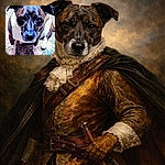 A serious brindle dog fills the frame, staring up like it just heard the word "treat" and is calculating the optimal angle for maximum sympathy. Close-up of a wet shiny nose, soulful eyes and big ears, perched on a textured carpet with paws planted like a tiny, furry bodyguard. The image is high-contrast and punchy — a little over-processed but undeniably adorable.