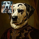 A Dalmatian dog with distinctive black spots and a serious expression sits indoors on a wooden floor, wearing a collar and looking directly at the camera as if waiting for a treat or a command.