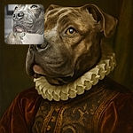 A close-up portrait of a dog with soulful eyes gazing upward, showcasing detailed textures of its fur and nose, with a softly blurred background that highlights the dog's expressive face.