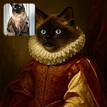 A majestic fluffy cat with piercing blue eyes sits regally on a wooden surface, looking slightly upward with a poised and curious expression. The soft natural light highlights its luxurious fur, while the simple indoor background keeps the focus on the feline royalty.