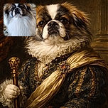 A fluffy dog with a majestic mane stares curiously at the camera, sitting on a patterned carpet that adds a cozy, homey vibe to the scene.