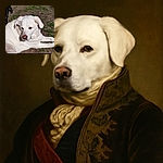 A serene white dog lounges on the patchy grass and dirt, soaking up the sun with a calm and gentle expression, while a hint of a black dog appears in the background.