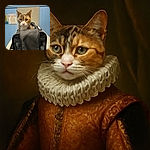 A curious calico cat peeks out of a black pet carrier on a countertop, with a softly colored blue paneled wall and some framed posters in the background. The cat's intense gaze and the scattered fur on the carrier tell a story of a patient traveler ready for an adventure or a vet visit.