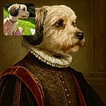 A fluffy dog with freshly trimmed fur gazes intently to the side while sitting on a sunlit lawn. A hand gently pets the dog, and a person wearing pink shorts is partially visible, adding a warm, casual vibe to this outdoor snapshot.