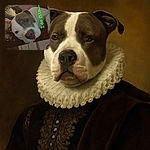 A cozy close-up selfie featuring a large dog with a white and gray face, snuggling closely with a person partially visible in the background. The image is grainy and tilted, with green text overlay saying 'I do fits...'.