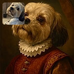 A close-up shot of a fluffy dog with a curious expression, its soft fur and soulful eyes taking center stage against a softly blurred background.