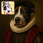 A joyful black and white dog wearing a festive 'Happy New Year 2026' hat, sitting on a wooden floor with a slightly overexposed background, looking up with a big smile and bright eyes.