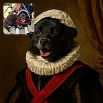 A happy black and white dog wearing a white hat and red harness is lying on sandy ground, smiling with its mouth open. A person's hand is gently touching the dog's head, and a stroller and some shoes are visible in the background, giving a cozy beach day vibe.