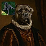 A large dog with a serious expression lounges on a patch of green grass, half in shadow and half in sunlight, wearing a black harness that adds a touch of adventure-ready style.