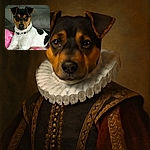 A charming dog lounges comfortably on a couch with a pink floral pillow, looking directly at the camera with an attentive and curious expression. The background is a soft gray couch, providing a cozy indoor setting.