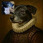 A close-up photo of a calm black and white dog with some gray fur, lying on a soft blanket with a plush toy in the background, looking thoughtfully into the distance.