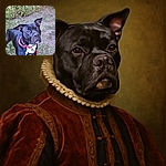 A curious black dog with a shiny coat and a red collar stands alert on a patch of grass and dirt, with a leafy green bush in the background. The dog’s ears are perked up, and it looks ready for an adventure or a game of fetch.