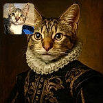 A close-up photo of an adorable tabby kitten with striking green eyes, sitting on a person's lap near a wooden table. The kitten's curious expression is captured with clear focus, though a small red mark is visible on its ear, adding a touch of character.