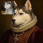 A majestic Siberian Husky lounges on a bed, sporting a sparkly butterfly pendant that adds a touch of bling to its natural beauty. The dog's piercing blue eyes gaze off-camera, while the cozy indoor setting with patterned wallpaper and soft bedding creates a warm atmosphere.