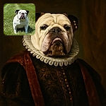 A charming bulldog stands proudly on a sunlit lawn, its tongue playfully sticking out, with a soft-focus background that highlights the dog's expressive face and sturdy build.