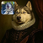 A majestic husky with piercing blue eyes lounges on a patio chair, mouth open wide as if mid-yawn or mid-bark, surrounded by greenery and a clear blue sky.