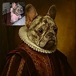 A small dog with a brindle coat and large ears is standing on its hind legs, wearing a cozy pink hoodie, looking curiously over a gray surface in a dimly lit room with wooden floors and some furniture.