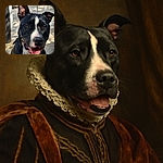 A happy black and white dog with a big smile and tongue out is enjoying a sunny day outdoors, with a slightly blurred background of pavement and metal railings.