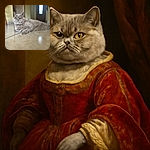 A fluffy gray cat lounging elegantly on shiny tiled floor, with a slightly grumpy yet adorable expression. The background is softly blurred, highlighting the cat's plush fur and intense amber eyes.