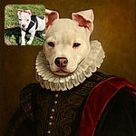 A charming white puppy with a black harness is stepping confidently on the grass, ears perked up and eyes curious, basking in the sunlight with a soft green background blur.