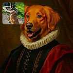 A happy golden retriever looks back over its shoulder with a big smile, sitting on a gravel path next to a flowerbed with vibrant pink flowers and lush green grass under bright sunlight.