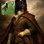 A fluffy black dog with a white chest stands alert on lush green grass near a pond, leash held by a person wearing a light blue sleeve. The dog looks curious and ready for an adventure, surrounded by trees and a serene outdoor setting.