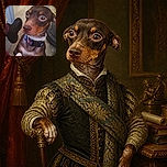 A wide-eyed brown-and-tan dog sits like a tiny courtroom defendant, paws politely perched on a person’s leg while giving the camera an unforgettable 'I can explain everything' stare. Patio chairs, concrete, and a collar complete the scene.
