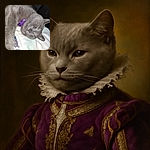 A cozy gray cat is peacefully snoozing with a purple collar, stretching its paw out on a soft blanket, capturing the essence of ultimate catnap vibes in a warm indoor setting.