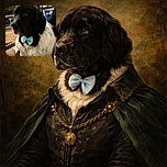 A fluffy black and white dog wearing a charming blue bow tie sits indoors looking thoughtfully to the side, surrounded by cozy home decor including a wooden table, a TV, and a shelf with various knick-knacks.
