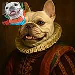 A happy French Bulldog dressed in a colorful costume with a big goofy smile, showing off its teeth and tongue inside a car. The dog's outfit has bright orange and blue colors with green leaf-like decorations, making it look like a festive pumpkin or carrot.