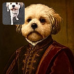A fluffy cream-colored dog with a slightly blurred wagging tail looks up with big, curious eyes on a textured pavement background, capturing a moment of playful anticipation.
