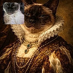 A close-up, somewhat blurry and grainy photo of a relaxed cat with a dark face and light body, possibly a Siamese, resting on a polka-dotted fabric background.