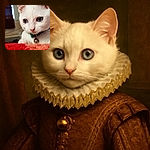 A close-up of an adorable white kitten with striking blue eyes and a shiny bell on its collar, peering curiously over a red textured surface with a softly blurred background.