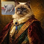 A fluffy cat with striking blue eyes is caught mid-step on a smooth floor, looking curiously at the camera with a slightly blurred background of a yellow wall and red baseboard.