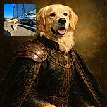 A cheerful golden retriever trots down a sunlit street next to a parked silver car and a modern building. The shadows of the photographer and another person stretch across the textured pavement, while a bright blue sky completes the crisp outdoor scene.