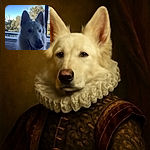 A fluffy white dog, possibly a Swiss Shepherd, is front and center with a curious and friendly expression. The background shows a serene outdoor setting with a pool, wooden deck, and green trees under a clear blue sky, creating a peaceful and natural vibe.