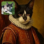 A charming black and white cat lounges gracefully on lush green grass, sporting a stylish pink harness that adds a touch of elegance to its relaxed outdoor adventure.