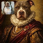 A serious-faced pitbull with a striking gray and white coat sits patiently against a plain wall, giving off the vibe of a contemplative philosopher or a doggy detective on a case.