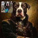 A soulful, big-nosed pup stares straight at the camera like it's waiting for approval to keep chewing its beloved blue-and-green frisbee — carpeted living-room throne and blurred background making it look dramatically important.