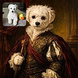 A fluffy white dog lounges adorably on a textured grey blanket, striking a pose next to a bright yellow plush duck toy, with soft natural light highlighting its curly fur and big, soulful eyes.