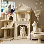 A fluffy white cat with a curious expression sits on a bed with orange and white patterned blankets, surrounded by a cozy room featuring a blue wall, a TV, a shelf with various knick-knacks, and a plush unicorn in the background.