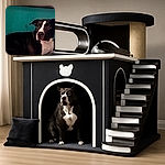 A blurry photo of a black and white dog lying down against a teal background, looking off to the side with a calm expression.