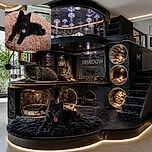 A fluffy black puppy lounges in a pink donut bed, proudly sticking out its tongue like it has just delivered the world’s tiniest stand-up comedy routine. A litter tray, pet bowl, cabinet, rugs, and a suspicious tangle of cables complete the cozy indoor scene.