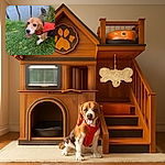 A cheerful beagle in a bright orange harness is standing on lush green grass near a calm water body with wooden posts, looking up with its tongue out as if ready for an adventure or a splash.