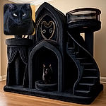 A sleek black cat stares intensely at the camera, its piercing eyes contrasting sharply with its dark fur, resting comfortably on a soft surface with a colorful background.