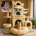 A fluffy ginger cat with striking amber eyes lounges regally on a bed, paws resting on a colorful calendar featuring cartoonish animal paws. The cozy room glows softly with warm fairy lights in the background, adding a magical ambiance to this feline's chill session.