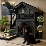 A happy black dog wearing a Julius-K9 harness stands on a train station platform with its tongue hanging out, looking attentively to the side. The background shows train tracks and buildings bathed in daylight, with a visible shoe at the bottom right corner adding a casual vibe.